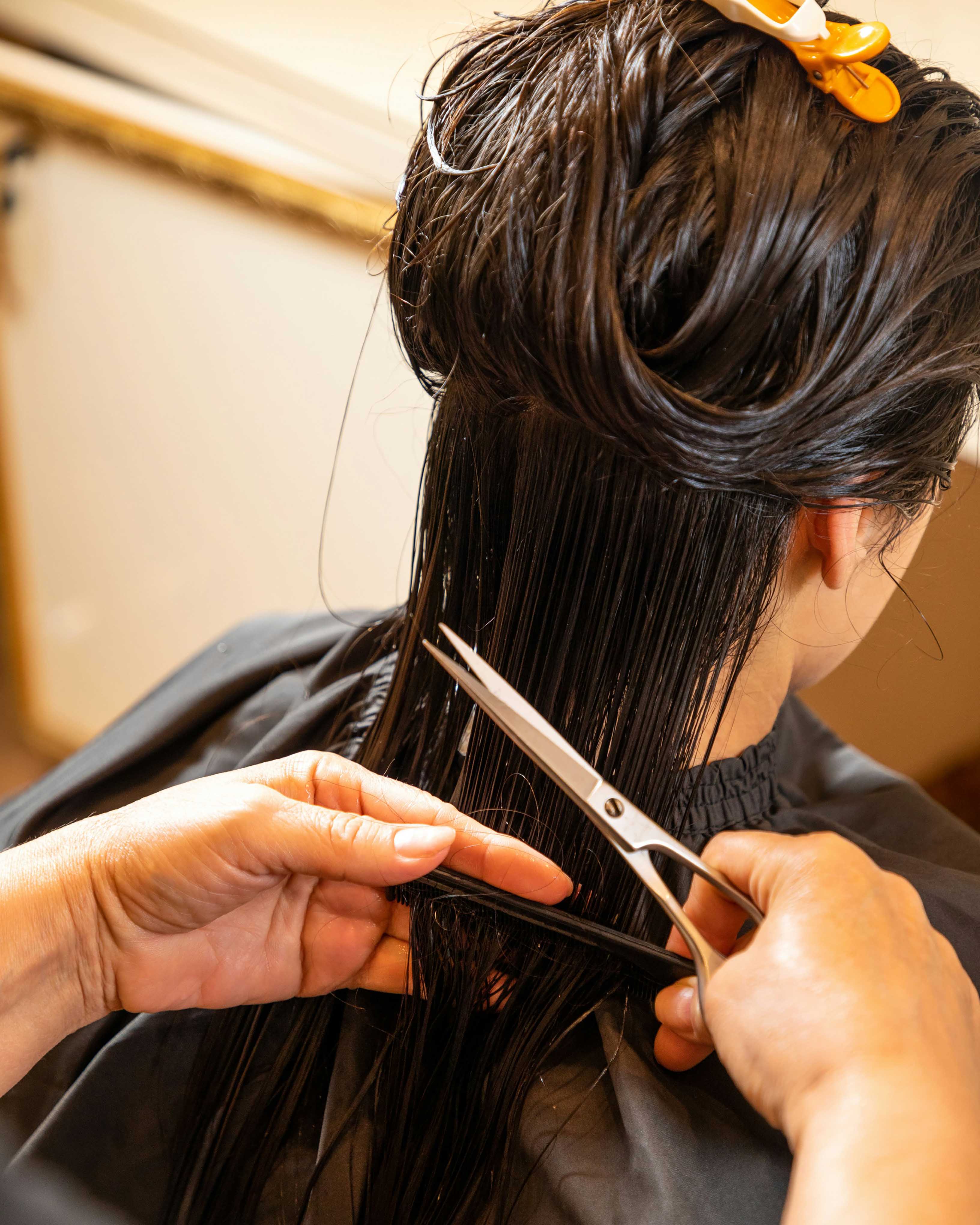 Women's Haircuts